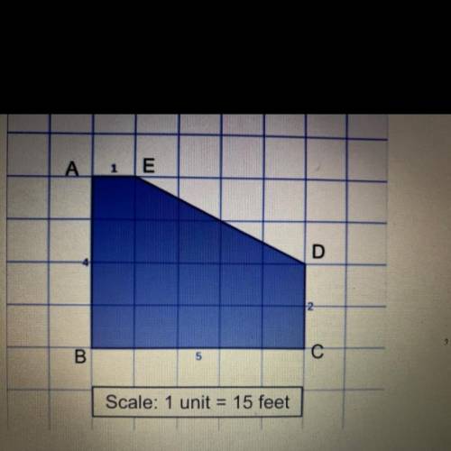 Answer if you like Biden

The diagram of a parking lot is drawn to scale. The scale for the drawin