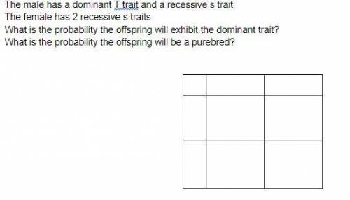 Can Somebody Help Me Solve These Punnett squares