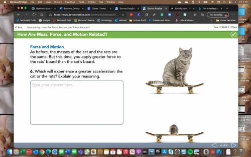 PLEASE HELP

Which will experience a greater acceleration: the cat or the rats? Explain your