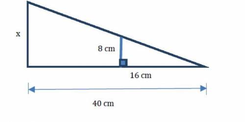 PLS HELP!!
Find the value of x. Show any calculations used to find your answer.