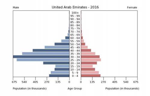 22. What is the reason for the odd-shape or asymmetrical aspect of the United Arab Emirates populat