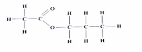 What is the name of the structure?