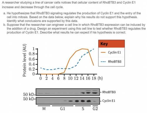 Help with AP Bio please