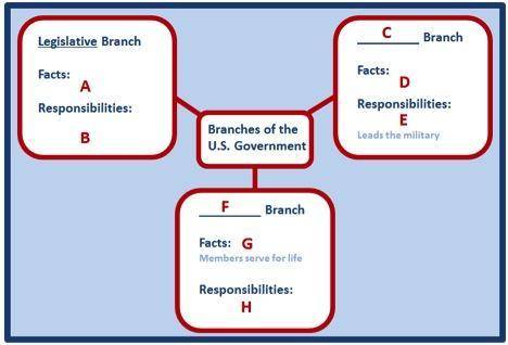 Study the image above. Which of the following would you place in the section labeled G?

The jud