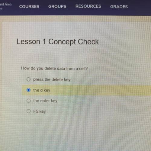 How do you delete data from a cell?

O press the delete key
O the d key
O the enter key
O F5 key