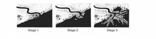 PLEAS HELP!!

Students in an Earth science were presented with a model that shows how stages 1, 2,