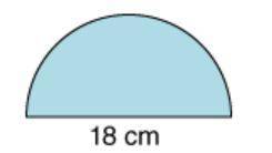 I will give the crown

A semicircle has a diameter of 18 centimeters. What is its area? (Use 3.14