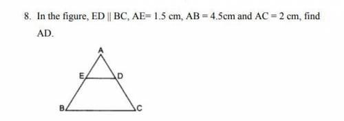 Give answer yo mama gae if give wrong answer.