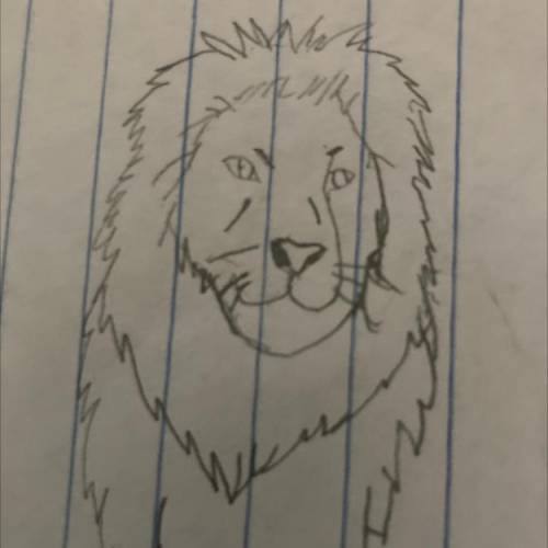 Your lion drawing ^^