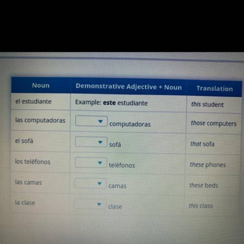 HURRY!

Select the correct demonstrative adjective from each drop-down menu to match the translati