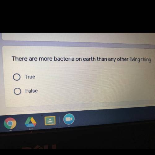 There are more bacteria on earth than any other living thing
O
True
O
False