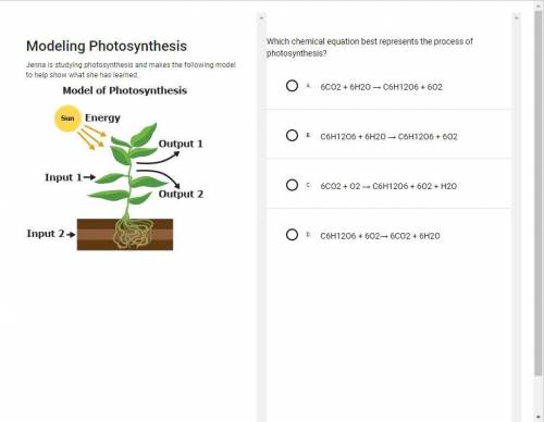 Which chemical equation best represents the process of photosynthesis? BRAINLIEST IF YOU ANSWER THI