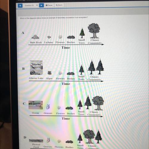 Which of the diagrams below shows an example of secondary succession in an ecosystem?