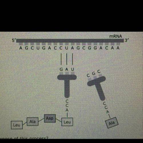 HELP FAST 

A model of a biological process is shown. What is the purpose of this process?
a)