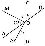 Lines AB and CD are straight lines. Find x and y. Give reasons to justify your solutions.