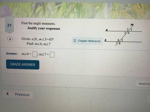 Find the angle measures. Justify your responses/

Given: a//b,, m3= 63 degrees.
Find: m6, m7