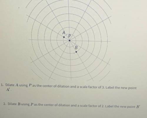 1. Dilate A using P as the center of dilation and a scale factor of 3. Label the new point

A'.
2.