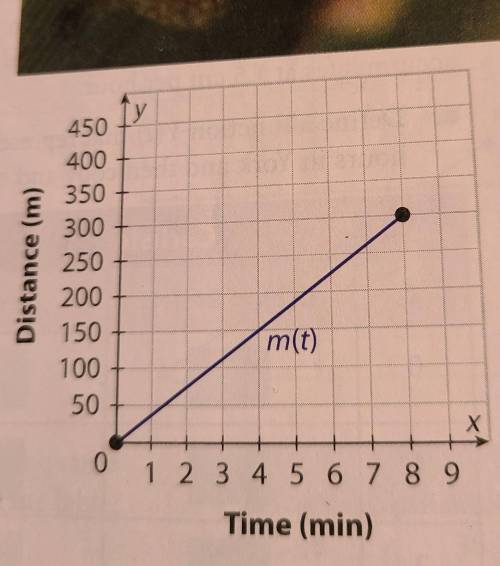 A gecko travels for 6 minutes at a constant rate of 19 meters per minute. The function g(t) represe