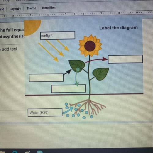 Label the diagram for photosynthesis