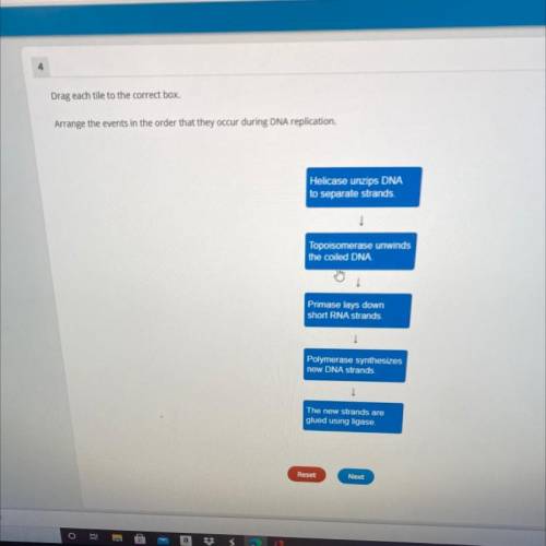 Arrange the events in the order that they occur during DNA replication.

Helicase unzips DNA
to se