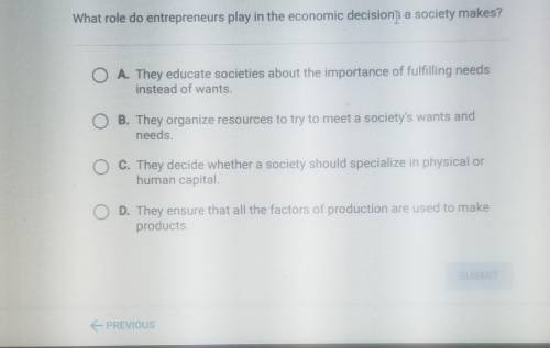 What role do entrepreneurs play in economic decisions a society makes?