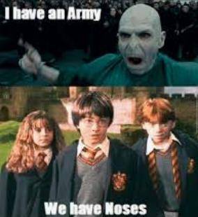 Here are some more Harry Potter memes.