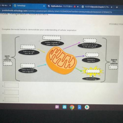 Pls help!! I’m taking the test rn! Also if u can’t see pls just zoom in or ss and zoom in plssss