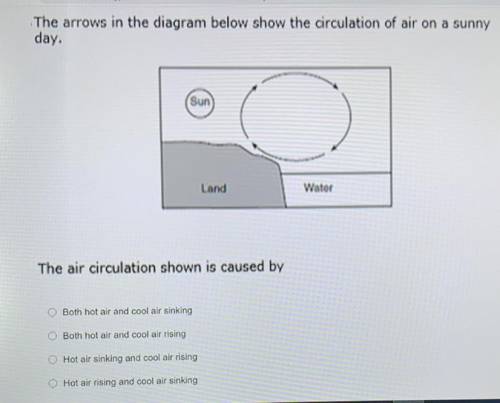 Please help and explain if you can