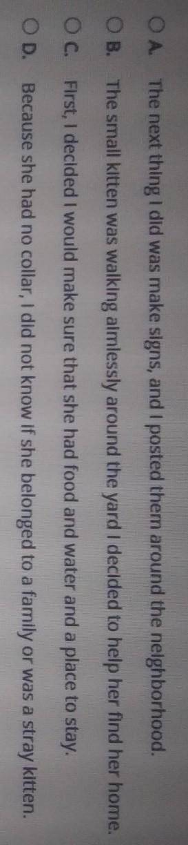 Which sentence is a run-on sentence?