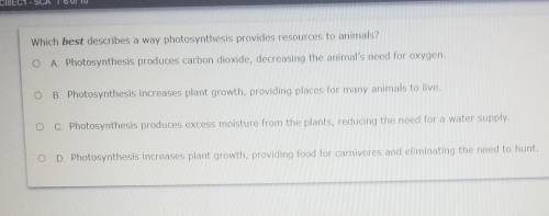 HELP.......Which best describes a way photosynthesis provides resources to animals?