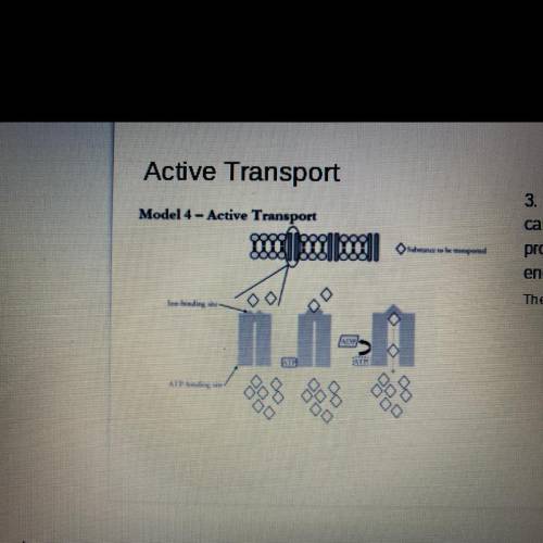 ATP is a type of molecule that

can provide energy for biological
processes. Explain how the
energ