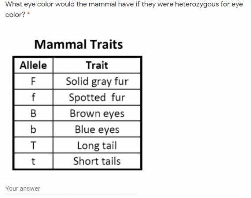 What eye color would the mammal have if they were heterozygous for eye color?