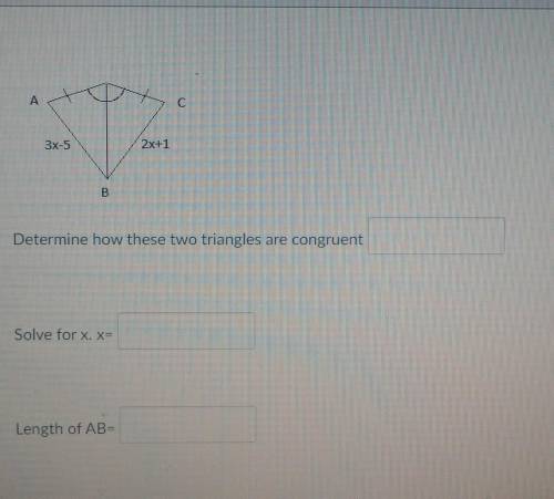 Need answers ASAP will give brainiest.please answer the 3 questions