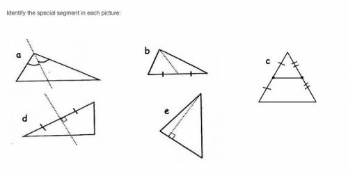 HELPPPP PLZ ITS TIMED

Identify the following special segment in each picture:
angle bisector
perp