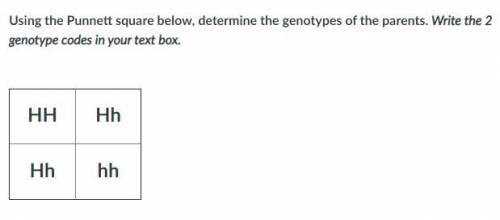 Using the Punnett square below, determine the genotypes of the parents. Write the 2 genotype codes