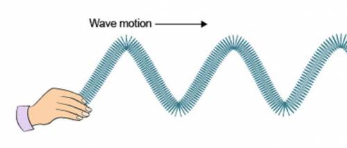 FIRST CORRECT ANSWER GETS BRAINLIEST!!! What is the motion of the particles in this kind of wave?
