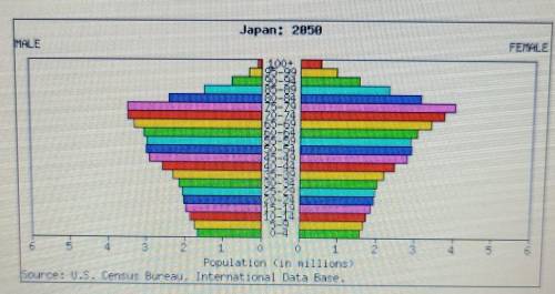 This population pyramid is a prediction of Japan in 2050. What can you tell from this image about t
