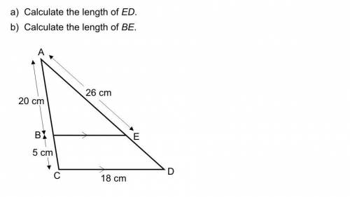 I need help with triangles?