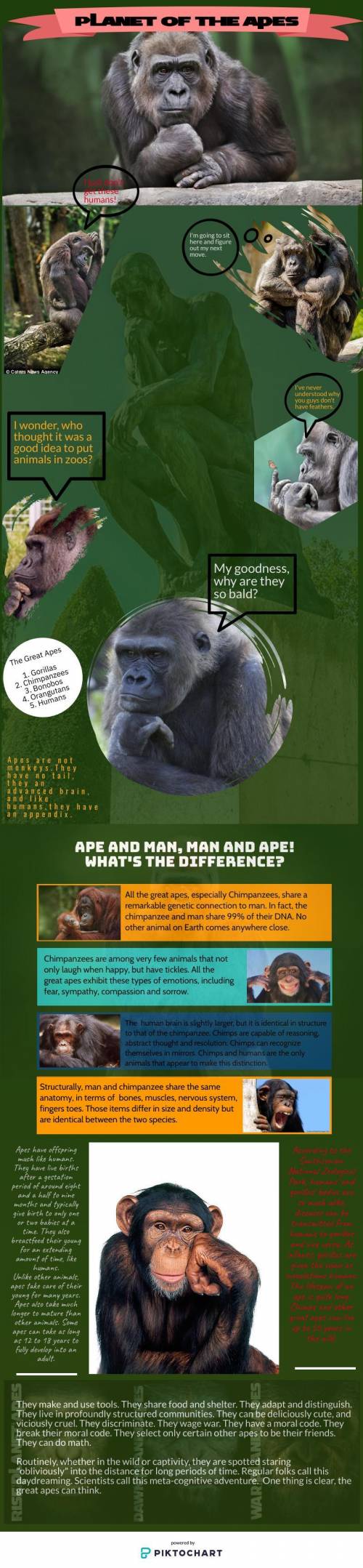 Write a two-paragraph explanation of what's the point of this infographic. planet of apes.

help w