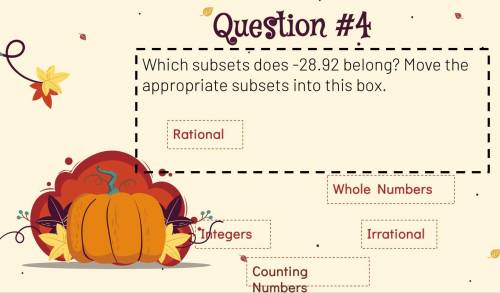 Which subsets does -28.92 belong? Move the appropriate subsets into this box.