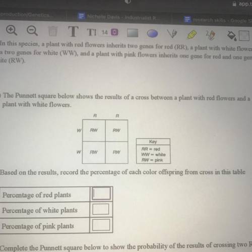 The Punnett square below shows the results of a cross between a plant with red flowers and a

plan