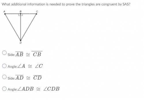 Please help will mark brainliest if correct