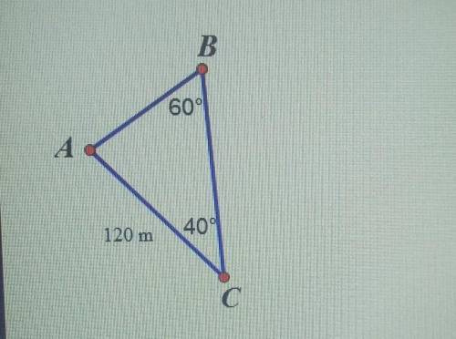 What are the approximate values of the missing side lengths in the triangle below?

BC=~136m, AB x