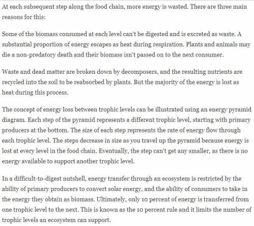Summarize the three main reasons why energy is wasted at each trophic level. (use your own words)