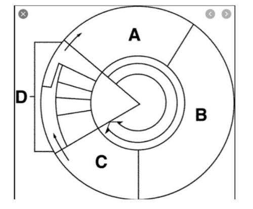 Which goes to which? The choices are; s phase, mitotic phase/mitosis phase, G1 phase and G2 phase.