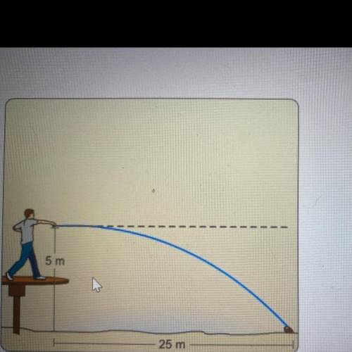 What is the approximate horizontal velocity at which the boy in the diagram

threw the ball?
a. +5