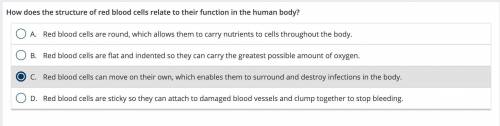 CAN SOMONE CHECK IF MY ANSWER IS CORRECT THANKYOU! ILL ALSO MARK U AS BRAINLIEST