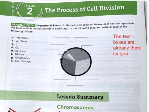 PLEASE HELP WITH BIOLOGY! CELL CYCLE! THANK YOU! PLEASE ASSIST! CELL CELL CELL CYCLE CYCLE CYCLE!