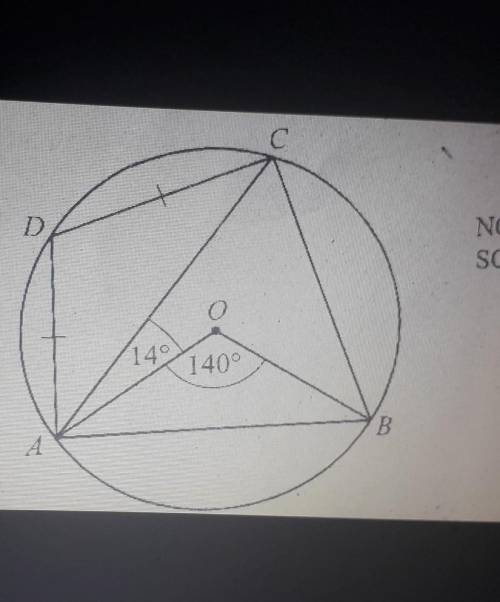 Calculate angle ACDplease help