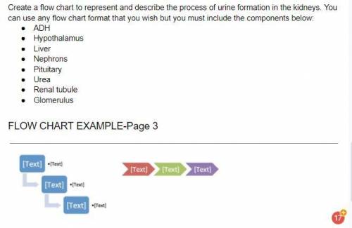 Will give brainliest - help rllly appreciated :D

technically for physiology but they only have bi